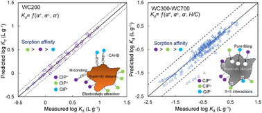 Graphical abstract: Predicting the speciation of ionizable antibiotic ciprofloxacin by biochars with varying carbonization degrees