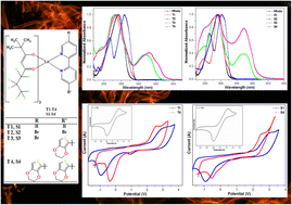 Graphical abstract: Optical, electrochemical and photophysical analyses of heteroleptic luminescent Ln(iii) complexes for lighting applications
