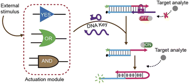 Graphical abstract: Controllable DNA nanodevices regulated by logic gates for multi-stimulus recognition