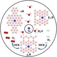 Graphical abstract: Promising transition metal decorated borophene catalyst for water splitting