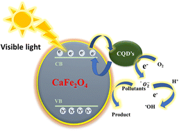 Graphical abstract: One-pot hydrothermal synthesis of a carbon quantum dot/CaFe2O4 hybrid nanocomposite for carcinogenic Congo red dye degradation