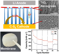 Graphical abstract: Free-standing TiO2 nanograssy tubular hybrid membrane for polysulfide trapping in Li–S battery