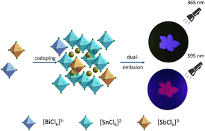 Graphical abstract: Admirable stability achieved by ns2 ions Co-doping for all-inorganic metal halides towards optical anti-counterfeiting