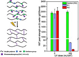 Graphical abstract: Preparation of UV-curable PSAs by grafting isocyanate-terminated photoreactive monomers and the effect of the functionality of grafted monomers on the debonding properties on Si wafers