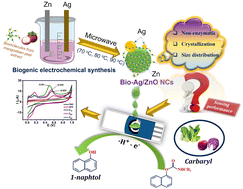 Graphical abstract: Unveiling the effect of crystallinity and particle size of biogenic Ag/ZnO nanocomposites on the electrochemical sensing performance of carbaryl detection in agricultural products