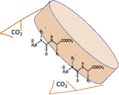 Graphical abstract: A lysine-based 2:1-[α/aza]-pseudopeptide series used as additives in polymeric membranes for CO2 capture: synthesis, structural studies, and application