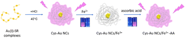 Graphical abstract: Gold nanoclusters Cys-Au NCs as selective fluorescent probes for “on–off–on” detection of Fe3+ and ascorbic acid