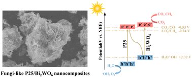 Graphical abstract: Interfacial construction of P25/Bi2WO6 composites for selective CO2 photoreduction to CO in gas–solid reactions