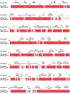 Graphical abstract: Study on molecular mechanisms of CD4 dependency and independency of HIV-1 gp120