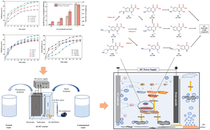 Graphical abstract: Efficient removal of norfloxacin from water using batch airlift-electrocoagulation reactor: optimization and mechanisms analysis