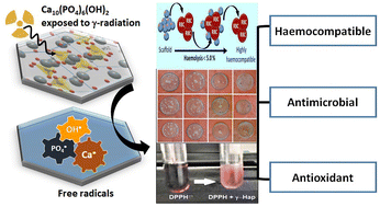 Graphical abstract: Exploring the biomedical competency of gamma-radiation aided hydroxyapatite and its composite fabricated with nano-cellulose and chitosan
