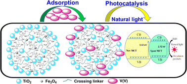 Graphical abstract: Magnetic chitosan/TiO2 composite for vanadium(v) adsorption simultaneously being transformed to an enhanced natural photocatalyst for the degradation of rhodamine B