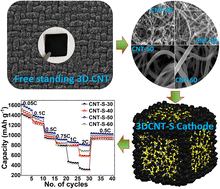 Graphical abstract: Effect of morphological variation in three-dimensional multiwall carbon nanotubes as the host cathode material for high-performance rechargeable lithium–sulfur batteries