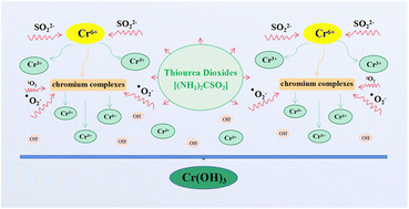 Graphical abstract: One-step removal of hexavalent chromium in wide pH range using thiourea dioxide: the role of reactive species
