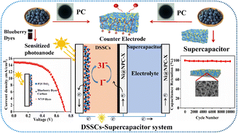Graphical abstract: Design of blueberry anthocyanin/TiO2 composite layer-based photoanode and N-doped porous blueberry-derived carbon-loaded Ni nanoparticle-based counter electrode for dye-sensitized solar cells