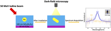 Graphical abstract: Elongation and plasmonic activity of embedded metal nanoparticles following heavy ion irradiation