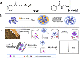 Graphical abstract: Magnetic dummy template molecularly imprinted particles functionalized with dendritic nanoclusters for selective enrichment and determination of 4-methylnitrosamino-1-(3-pyridyl)-1-butanone (NNK) in tobacco products