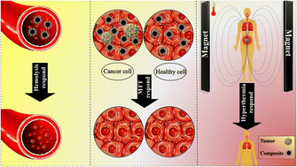 Graphical abstract: Magnetized chitosan hydrogel and silk fibroin, reinforced with PVA: a novel nanobiocomposite for biomedical and hyperthermia applications