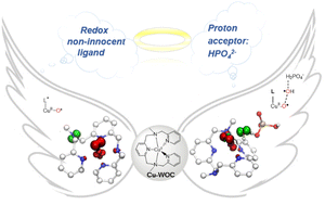 Graphical abstract: Theoretical study on the mechanism of water oxidation catalyzed by a mononuclear copper complex: important roles of a redox non-innocent ligand and HPO42− anion