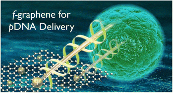 Graphical abstract: Covalent functionalization of graphene sheets for plasmid DNA delivery: experimental and theoretical study