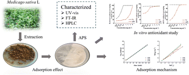 Graphical abstract: A green method for decolorization of polysaccharides from alfalfa by S-8 macroporous resin and their characterization and antioxidant activity