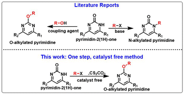 Graphical abstract: Caesium carbonate promoted regioselective O-functionalization of 4,6-diphenylpyrimidin-2(1H)-ones under mild conditions and mechanistic insight