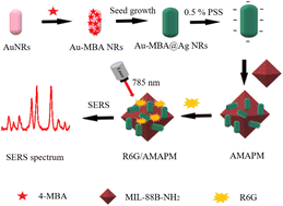 Graphical abstract: An accuracy improved ratiometric SERS sensor for rhodamine 6G in chili powder using a metal–organic framework support