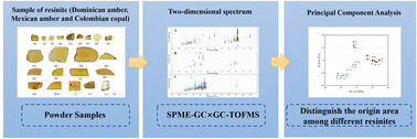 Graphical abstract: Headspace solid-phase microextraction comprehensive 2D gas chromatography-time of flight mass spectrometry (HS-SPME-GC × GC-TOFMS) for origin traceability of the genus Hymenaea resinites