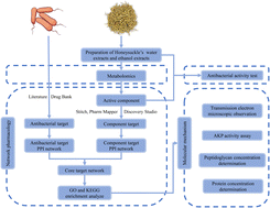 Graphical abstract: Lonicera japonica Thunb. as a promising antibacterial agent for Bacillus cereus ATCC14579 based on network pharmacology, metabolomics, and in vitro experiments
