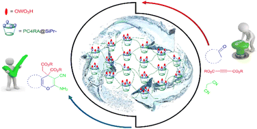 Graphical abstract: Tungstic acid-functionalized polycalix[4]resorcinarene as a cavity-containing hyper-branched supramolecular and recoverable acidic catalyst in 4H-pyran synthesis