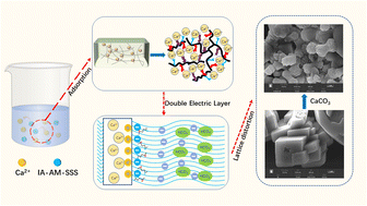 Graphical abstract: Synthesis, characterization and properties of a novel environmentally friendly ternary hydrophilic copolymer