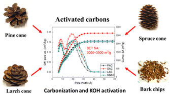 Graphical abstract: Activated carbons with extremely high surface area produced from cones, bark and wood using the same procedure