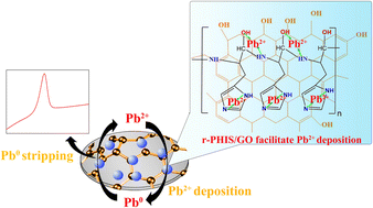 Graphical abstract: Film-forming, stable, conductive composites of polyhistidine/graphene oxide for electrochemical quantification of trace Pb2+