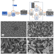 Graphical abstract: Efficient CuO/Ag2WO4 photoelectrodes for photoelectrochemical water splitting using solar visible radiation