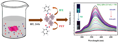 Graphical abstract: A facile strategy of using MoS2 quantum dots for fluorescence-based targeted detection of nitrobenzene