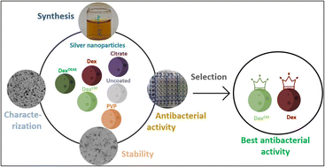 Graphical abstract: How similar is the antibacterial activity of silver nanoparticles coated with different capping agents?