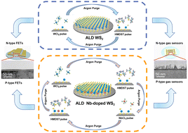 Graphical abstract: Modulated wafer-scale WS2 films based on atomic-layer-deposition for various device applications