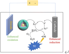 Graphical abstract: High-efficiency removal of tetracycline from water by electrolysis-assisted NZVI: mechanism of electron transfer and redox of iron