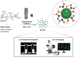Graphical abstract: Terbium-doped carbon dots (Tb-CDs) as a novel contrast agent for efficient X-ray attenuation