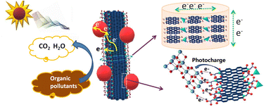 Graphical abstract: Copper-doped perylene diimide supramolecules combined with TiO2 for efficient photoactivity