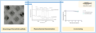 Graphical abstract: 3D printing of PLA:CaP:GO scaffolds for bone tissue applications