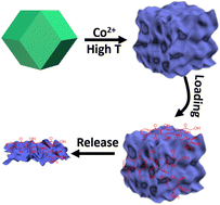 Graphical abstract: Facile synthesis of layered double hydroxide nanosheets assembled porous structures for efficient drug delivery