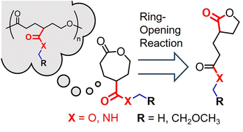 Graphical abstract: Organocatalyzed ring-opening reactions of γ-carbonyl-substituted ε-caprolactones