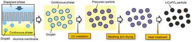 Graphical abstract: Preparation of size-controlled LiCoPO4 particles by membrane emulsification using anodic porous alumina and their application as cathode active materials for Li-ion secondary batteries