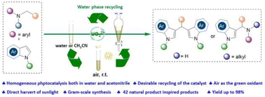 Graphical abstract: Uranyl nitrate as a recyclable homogeneous photocatalyst for selective cross-coupling of N-substituted amines and indoles