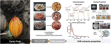 Graphical abstract: Exploring the chemical composition and coloring qualities of cacao fruit epicarp extracts