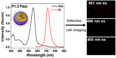 Graphical abstract: BODIPY-based near-infrared semiconducting polymer dot for selective yellow laser-excited cell imaging
