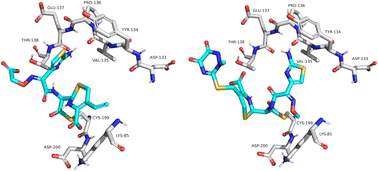 Graphical abstract: Molecular docking, molecular dynamics simulations and in vitro screening reveal cefixime and ceftriaxone as GSK3β covalent inhibitors