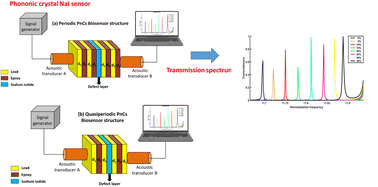 Graphical abstract: Periodic and quasi-periodic one-dimensional phononic crystal biosensor: a comprehensive study for optimum sensor design