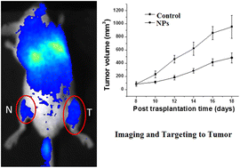Graphical abstract: Deoxyglucose-conjugated persistent luminescent nanoparticles for theragnostic application in fibrosarcoma tumor model